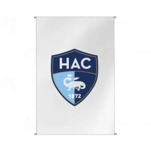 Ac Le Havre Bina Cephesi Bayraklar