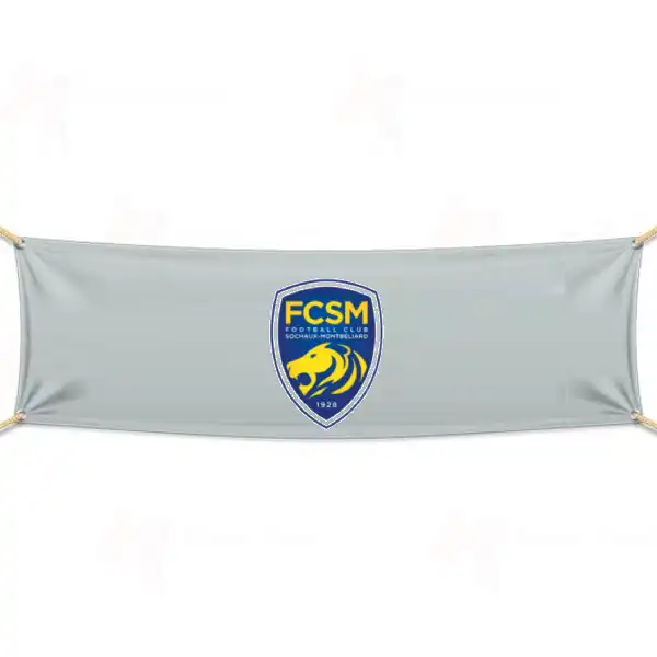 Fc Sochaux Montbeliard Pankartlar ve Afiler Ne Demektir