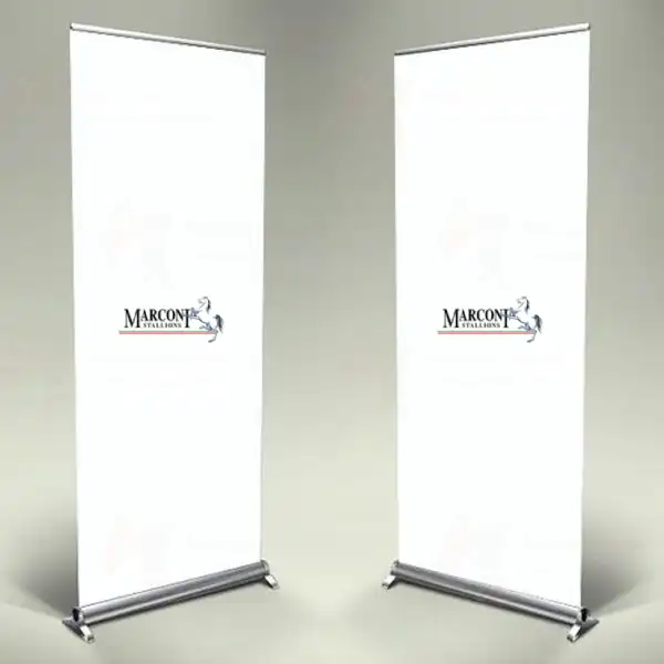Marconi Stallions Roll Up ve Banner