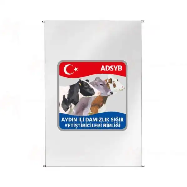 Tdsymb Trkiye Damzlk Sr Yetitiricileri Merkez Birlii Bina Cephesi Bayrak Resimleri