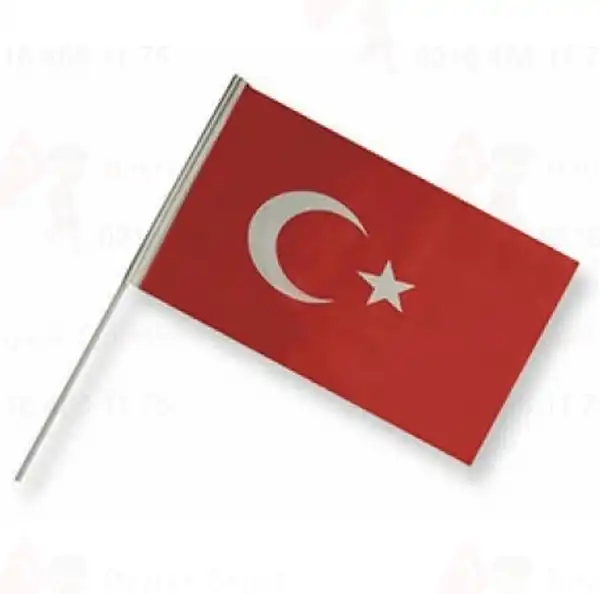 Türk Bayrağı (200x300)