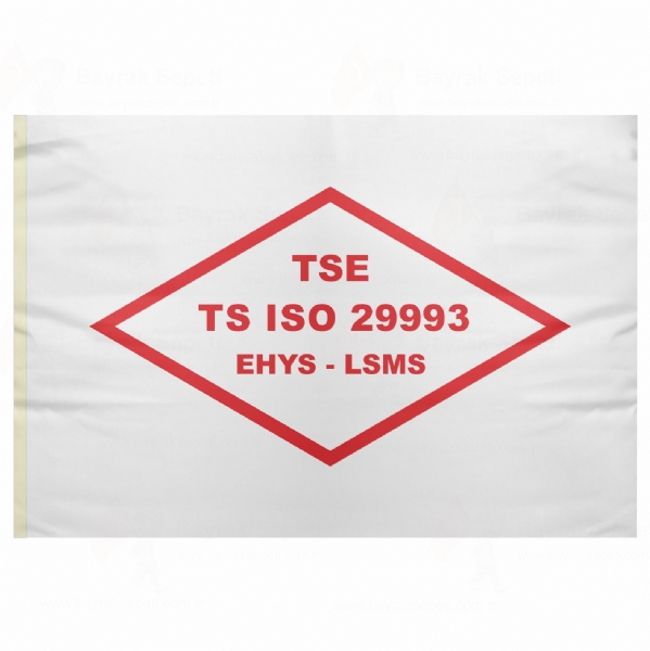 Tse Ts iso 29993 Ehys Lsms Bayra